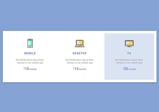 Freelance Developer